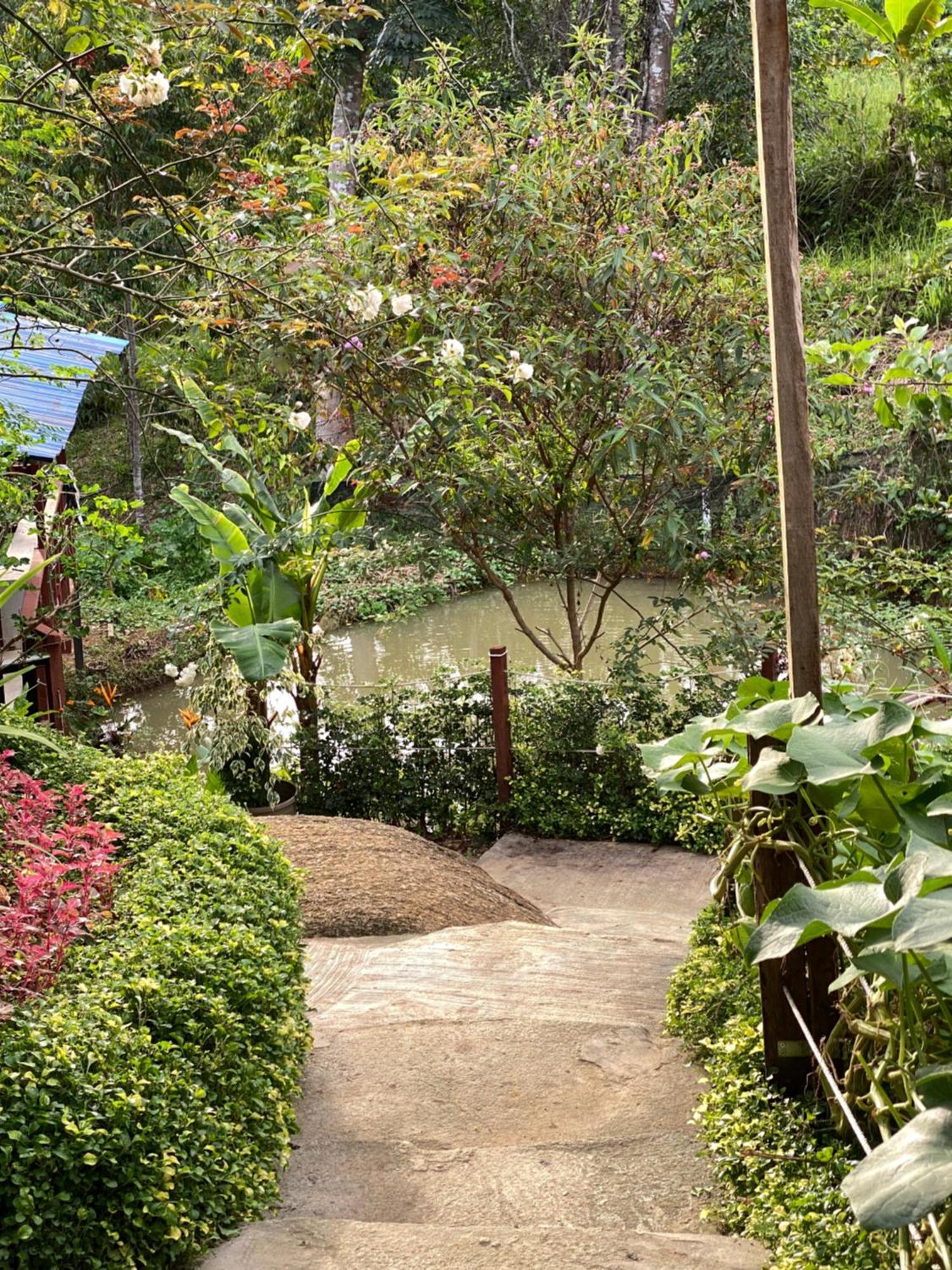 Da Family Mini Garden Hotel Ranau Luaran gambar