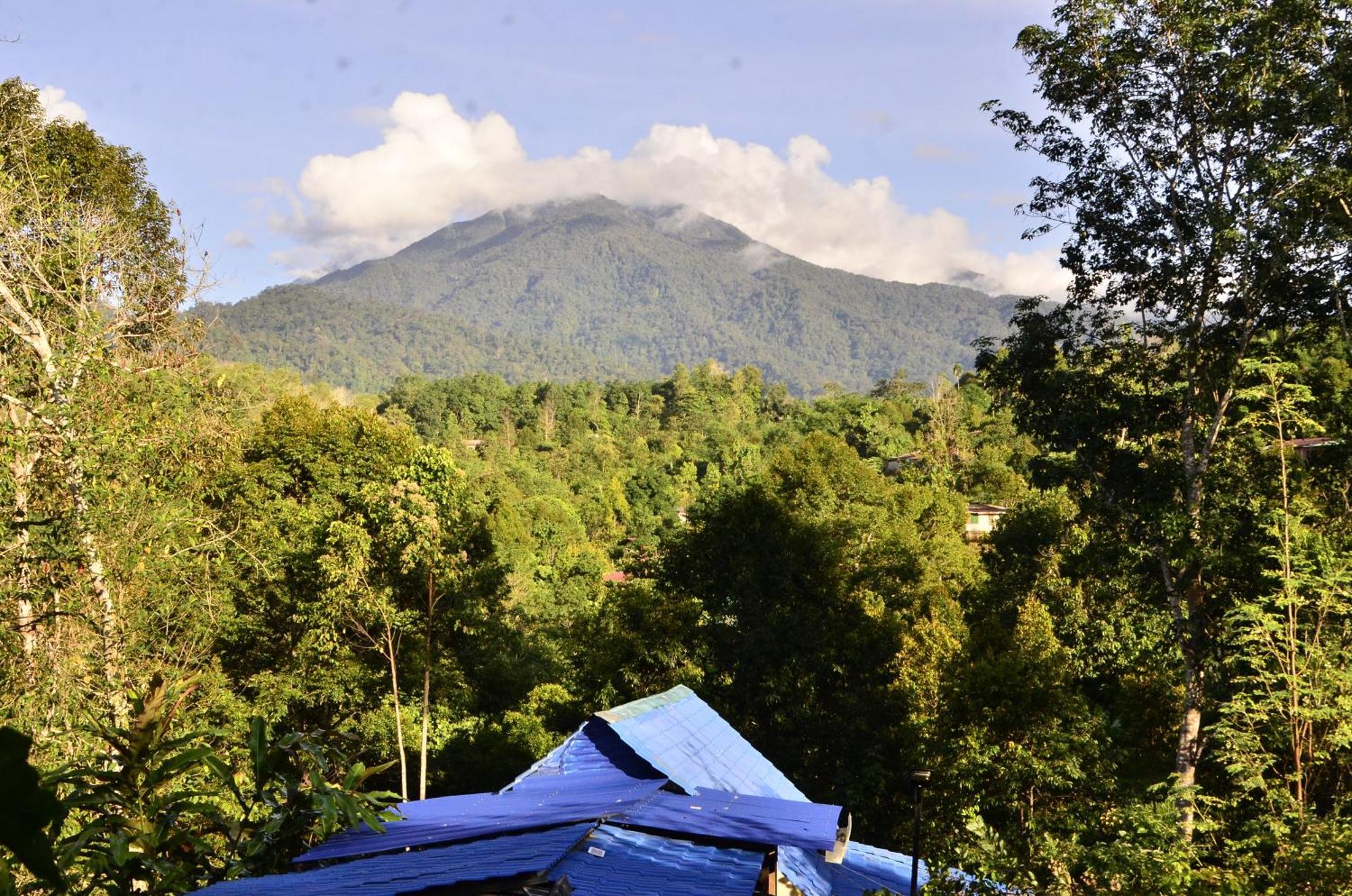 Da Family Mini Garden Hotel Ranau Luaran gambar